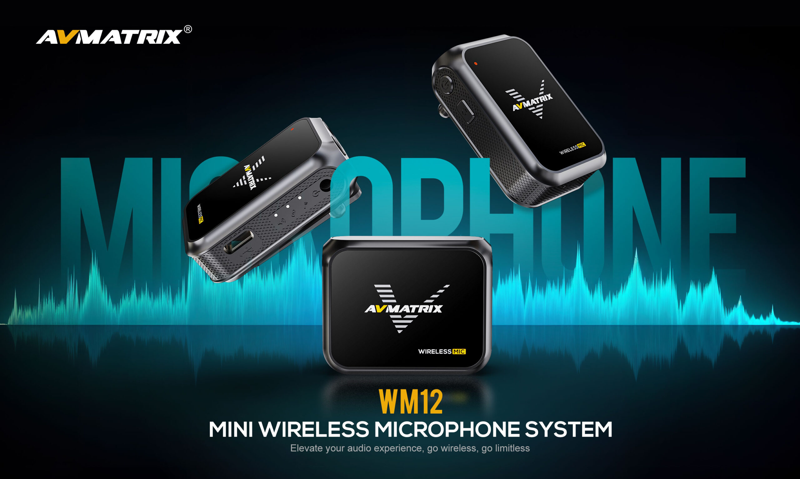 WM12 Mini Wireless Microphone System